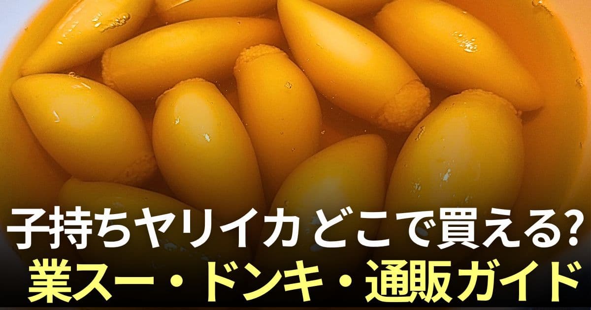 子持ちヤリイカ